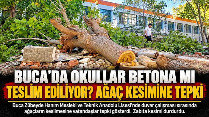 Buca ’da Okullar Betona mı Teslim Ediliyor? Duvar Yapımı İçin Yıllık Ağaçlar Kesildi!