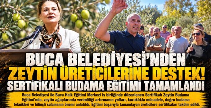 Buca Belediyesi ’nden Zeytin Üreticilerine Destek! Sertifikalı Budama Eğitimi Tamamlandı