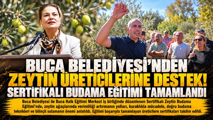 Buca Belediyesi ’nden Zeytin Üreticilerine Destek! Sertifikalı Budama Eğitimi Tamamlandı