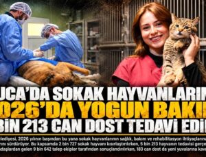 Buca ’da Sokak Hayvanlarına 2026’da Yoğun Bakım: 5 Bin 213 Can Dost Tedavi Edildi