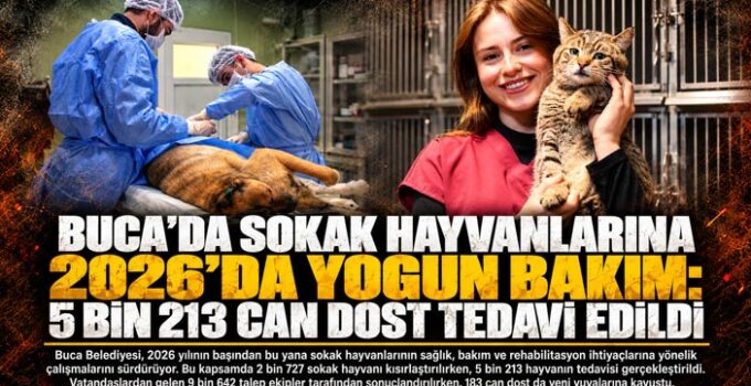Buca ’da Sokak Hayvanlarına 2026’da Yoğun Bakım: 5 Bin 213 Can Dost Tedavi Edildi
