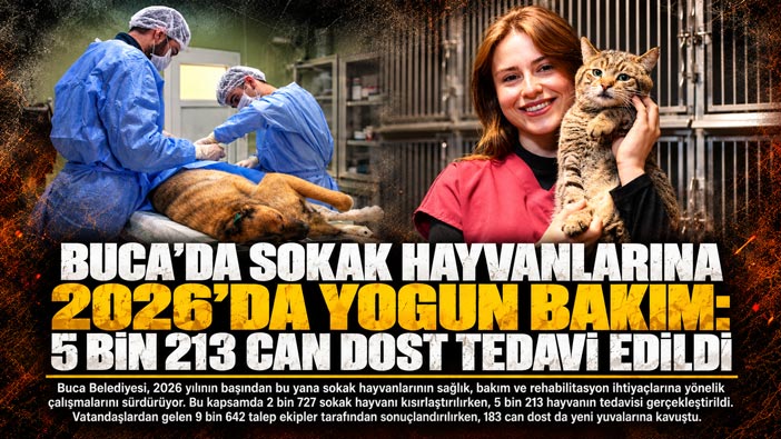 Buca ’da Sokak Hayvanlarına 2026’da Yoğun Bakım: 5 Bin 213 Can Dost Tedavi Edildi