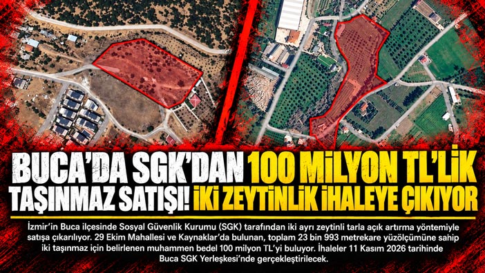 Buca ’da SGK’dan 100 Milyon TL’lik Taşınmaz Satışı! İki Zeytinlik İhaleye Çıkıyor