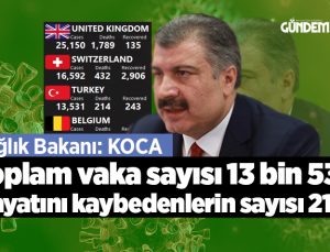 Toplam vaka sayısı 13 bin 531 , hayatını kaybedenlerin sayısı 214