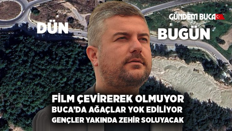 Buca’da Ağaçlar yok ediliyor. Gençler yakında zehir soluyacak.