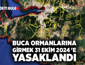Buca Ormanlarına girmek 31 Ekim 2024 ‘e kadar yasaklandı