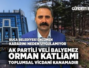 AK Partili Veli Balyemez Orman Katliamı Toplumsal vicdani kanamadır