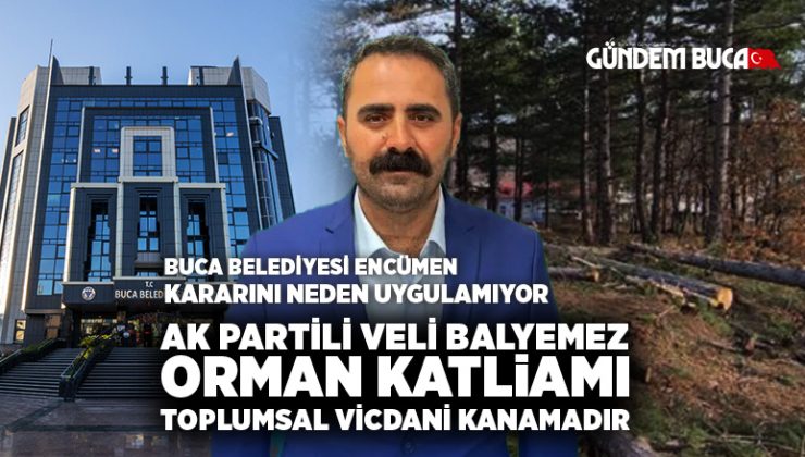 AK Partili Veli Balyemez Orman Katliamı Toplumsal vicdani kanamadır