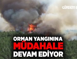 Buca Orman Yangınına Müdahale devam ediyor.