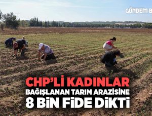 CHP’li kadınlar bağışlanan tarım arazisine 8 bin fide dikti.