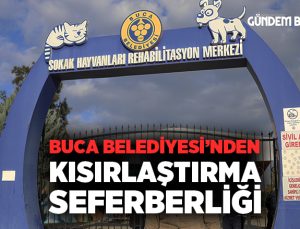 Buca Belediyesi’nden kısırlaştırma seferberliği
