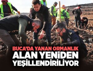Buca ’da Yanan Ormanlık Alan Yeniden Yeşillendiriliyor