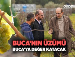Buca’nın Üzümü Buca ‘ya Değer Katacak