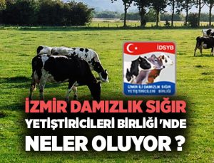İzmir Damızlık Sığır Yetiştiricileri Birliği ‘nde Neler Oluyor