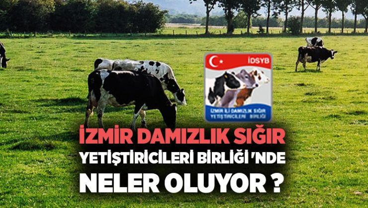 İzmir Damızlık Sığır Yetiştiricileri Birliği ‘nde Neler Oluyor