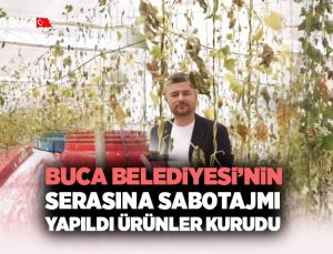 Buca Belediyesi ’nin serasına sabotaj mı yapıldı ürünler kurudu