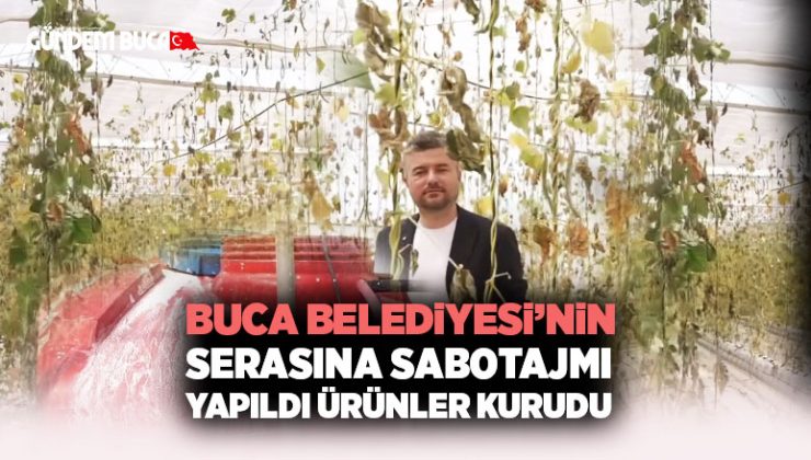Buca Belediyesi ’nin serasına sabotaj mı yapıldı ürünler kurudu