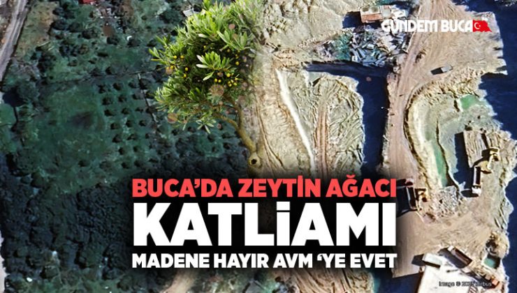 Buca ’da Zeytin Ağacı Katliamı, Madene hayır, AVM ‘ye EVET