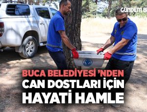 Buca Belediyesi ’nden can dostları için hayati hamle