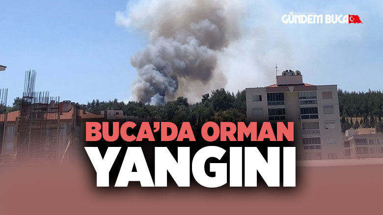 Buca Orman yangını