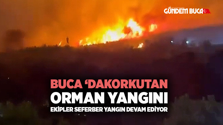 İzmir Buca Orman Yangını