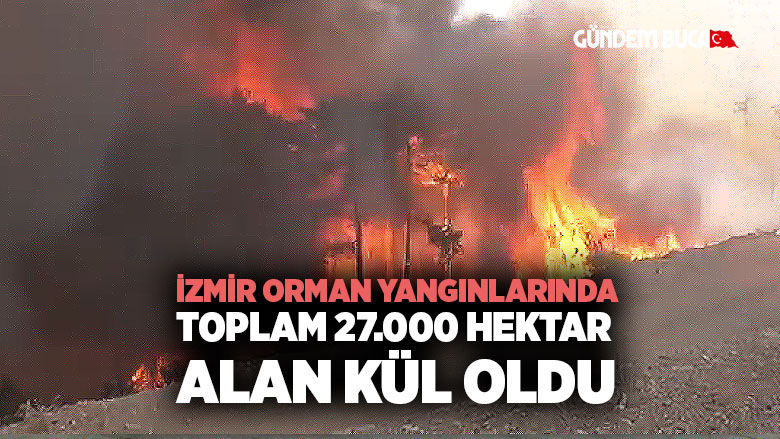 İzmir Buca Orman Yangını