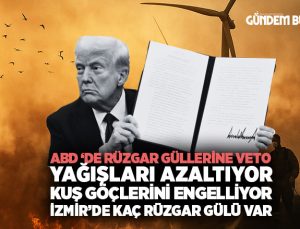 ABD’den Rüzgar Gülleri ne Veto Yağışları Azaltıyor, Kuş Göçlerini Engelliyor