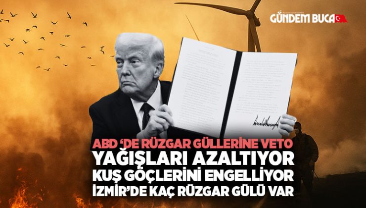 ABD’den Rüzgar Gülleri ne Veto Yağışları Azaltıyor, Kuş Göçlerini Engelliyor