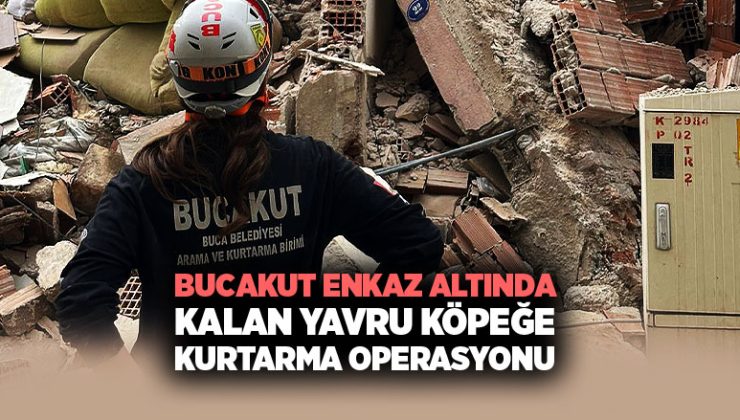 BUCAKUT Enkaz Altında Kalan Yavru Köpeği Kurtarma Operasyonu
