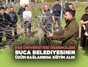 Ege Üniversitesi Öğrencileri Buca Belediyesinin Üzüm Bağlarında Uygulamalı Eğitim Aldı