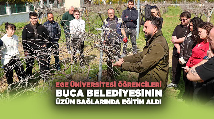 Ege Üniversitesi Öğrencileri Buca Belediyesinin Üzüm Bağlarında Uygulamalı Eğitim Aldı