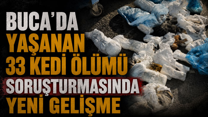 Buca ‘da Yaşanan 33 Kedi Ölümü Soruşturmasında Yeni Gelişme