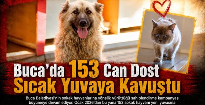 Buca ’da 153 Can Dost Sıcak Yuvaya Kavuştu