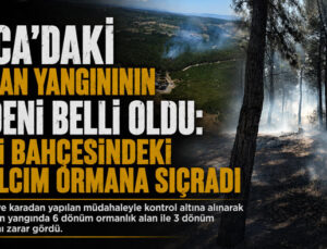 Buca ‘daki Orman Yangınının Nedeni Belli Oldu Hobi Bahçesindeki Kıvılcım Ormana Sıçradı