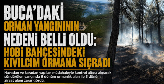 Buca ‘daki Orman Yangınının Nedeni Belli Oldu Hobi Bahçesindeki Kıvılcım Ormana Sıçradı