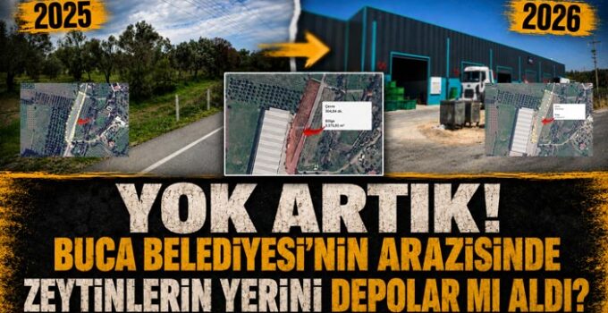 Yok Artık! Buca Belediyesi ’nin Arazisinde Zeytinlerin Yerini Depolar mı Aldı?