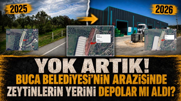 Yok Artık! Buca Belediyesi ’nin Arazisinde Zeytinlerin Yerini Depolar mı Aldı?