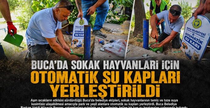 Buca ’da Sokak Hayvanları İçin Otomatik Su Kapları Yerleştirildi