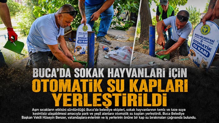 Buca ’da Sokak Hayvanları İçin Otomatik Su Kapları Yerleştirildi